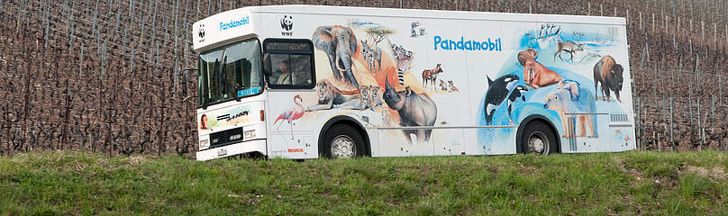 Pandamobile 2017
