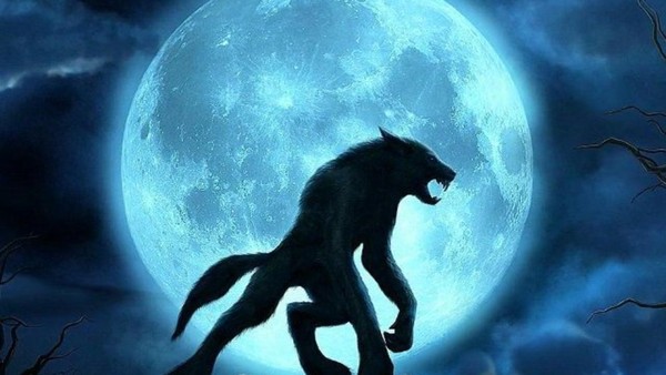 Les loups-garous existent-ils vraiment?